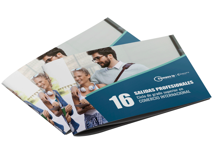 FP Comercio Internacional