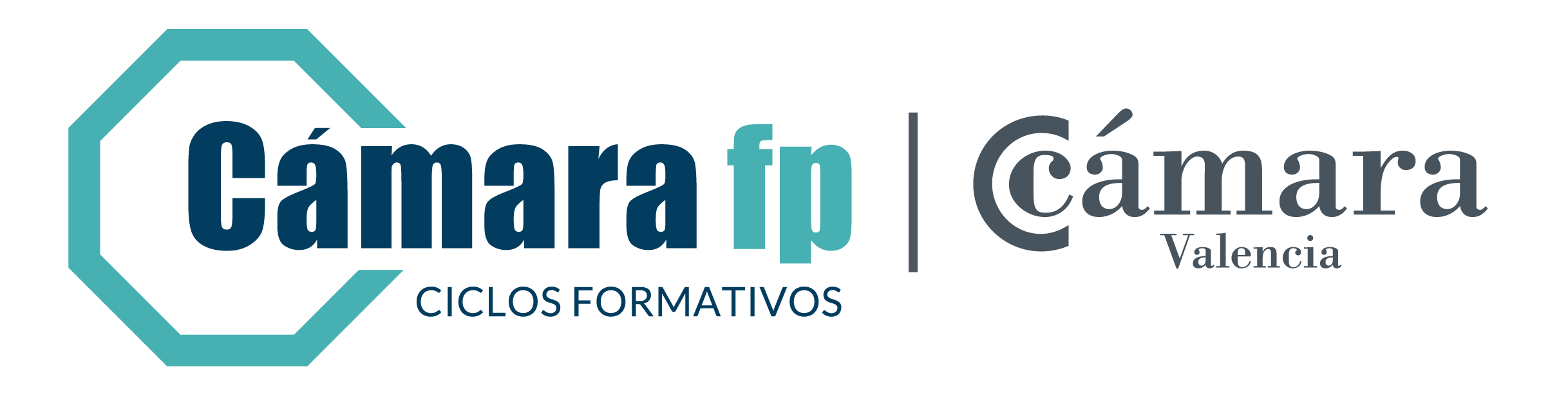 Cámara FP