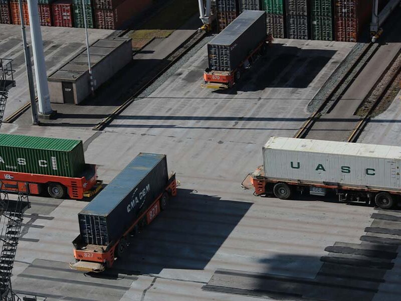 Como ser transitario